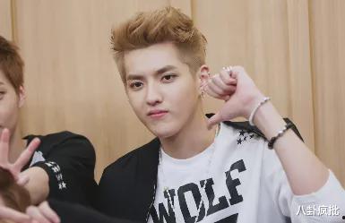 吃瓜娱乐圈王子,娱乐圈的瓜田传奇